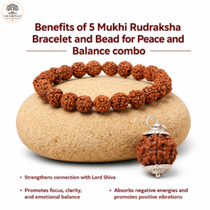 5 Mukhi Rudraksha Bracelet and Bead for Peace and Balance Combo
