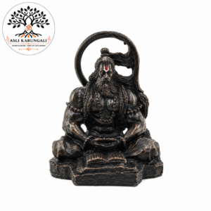 Dhyaan Veer Hanuman Idol