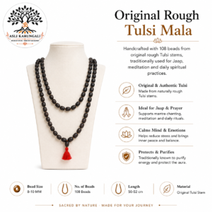 Lotus Seed (Kamal Gatta) Jaap Mala 108 Beads