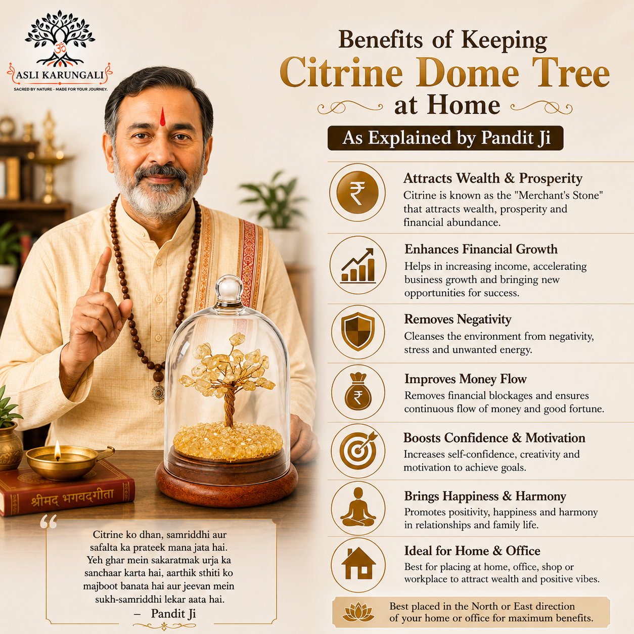 Citrine Dome Tree for Wealth, Prosperity & Financial Abundance - Image 3