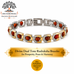 Divine Dual Tone Rudraksha Bracelet for Prosperity, Peace & Harmony