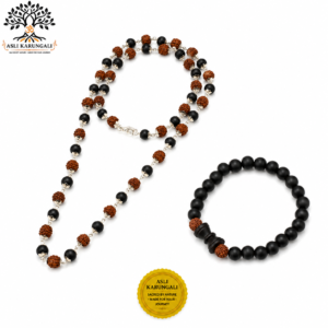 Divya Raksha Mahadev Combo for Spiritual Protection & Positive Energy