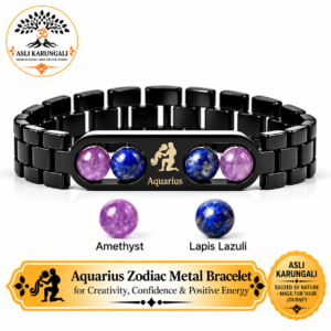 Aquarius (कुंभ राशि) Zodiac Metal Bracelet